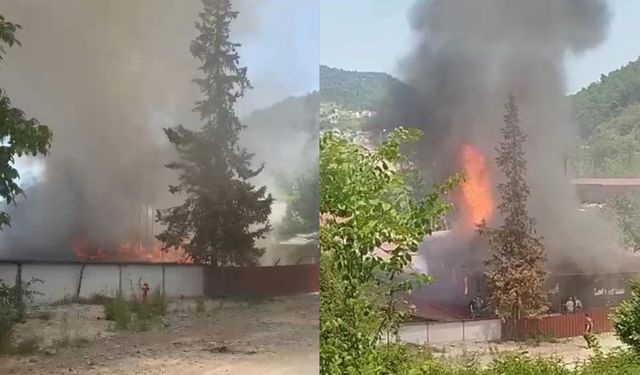Sinop’ta kereste fabrikasında yangın!