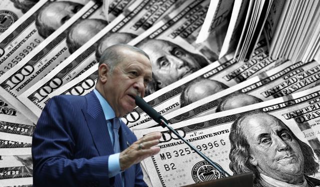 Erdoğan farkı gözler önüne serdi: 80 milyar dolarlık potansiyel var