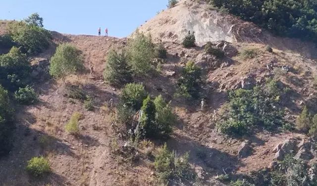 Sivas’ta minibüs uçuruma yuvarlandı: Çok sayıda ölü ve yaralı var