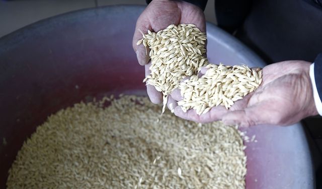 Ecdattan kalan yadigar... Şeker hastalarına öneriyorlar