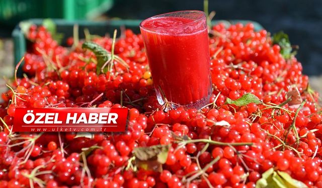 Böbrek taşı olanlar dikkat! Bu bitki adeta doğal temizleyici