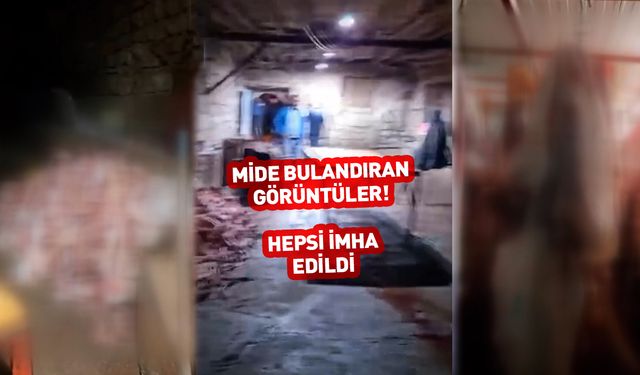 Bakanlık paylaştı! Mide bulandıran görüntüler 🤮