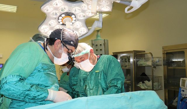 Karın ağrısı şikayetiyle gitti! 15 kiloluk dev tümör çıkarıldı