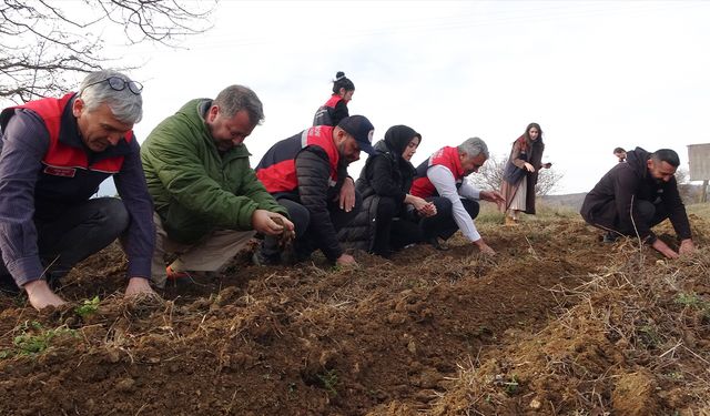 Kadınlara güç veren proje