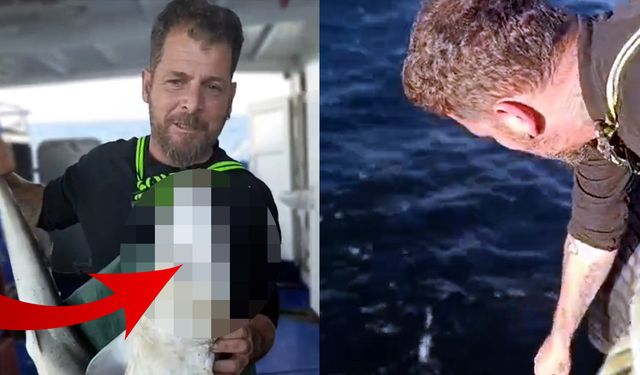 Ağına öyle bir şey takıldı ki! Görünce hemen geri bıraktı