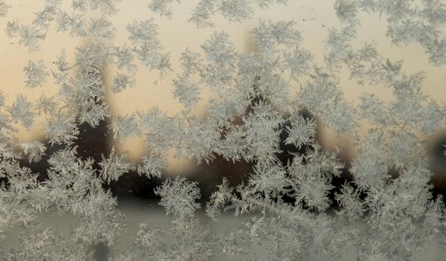 Avrupa’ya kritik uyarı! Son 10 yılın en düşük seviyesinde