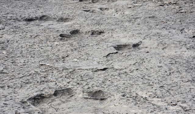 Heyecanlandıran keşif! Tam 200 milyon yıllık