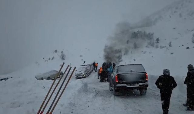 Kayıp çobanların kimlikleri belli oldu