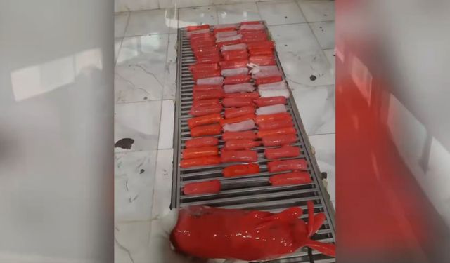 Yapılan "hayvanlık" pes dedirttirdi