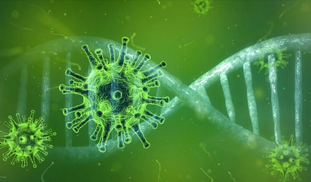 Türkiye’de virüs alarmı! Hayati risk oluşturuyor