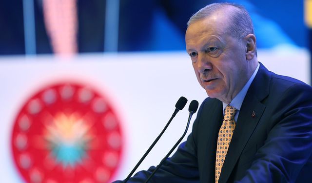 Erdoğan "İçimi yakan bir husus" diyerek açıkladı