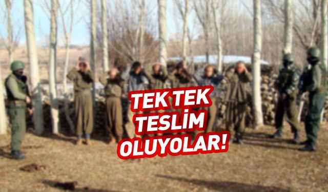 134 PKK'lı teslim oldu! Son veriler paylaşıldı