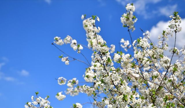 2026 ilk cemre düştü mü?