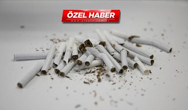 Öksürüğe iyi geliyor, sigarayı bırakmaya yardımcı oluyor