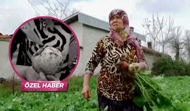 Öksürüğe bire bir! Bal ile birleşince doğal ilaca dönüşüyor