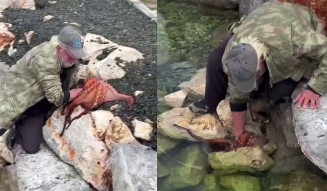 Dev ahtapotu elleriyle avladı! Görenler şaşkına döndü