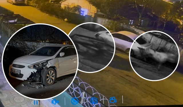 Duyanlar inanamadı! İstanbul'da arabaya "at" çarptı