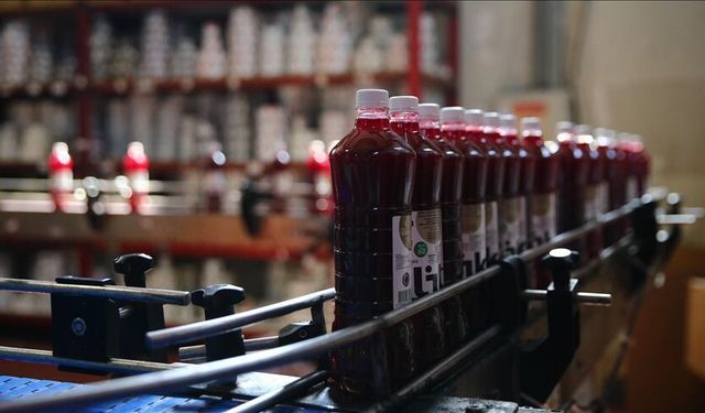 Adanalıları sevindiren haber! Şalgam artık…