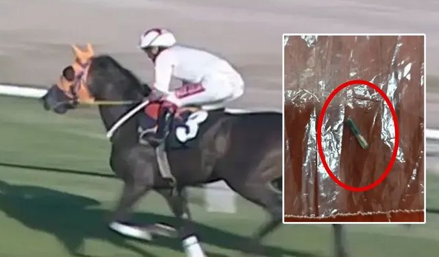 Yarış atını kavurma yapmışlar! CHP'li belediyede büyük skandal