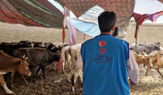 Diyanet açıkladı! Vekaleten kurban kesim bedelleri belli oldu