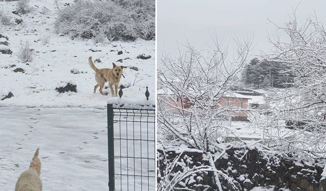 Ankara beyaza büründü! Nisan ayında kar sürprizi
