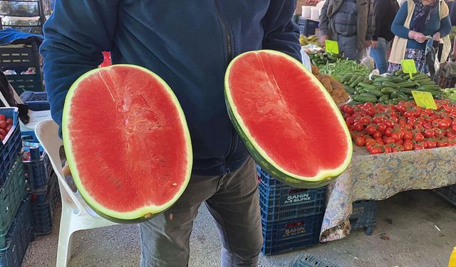 Karpuz sezonu başladı! Fiyatı dikkat çekti