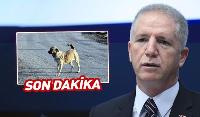 Valilikten belediyelere kritik uyarı! Derhal yerine getirin
