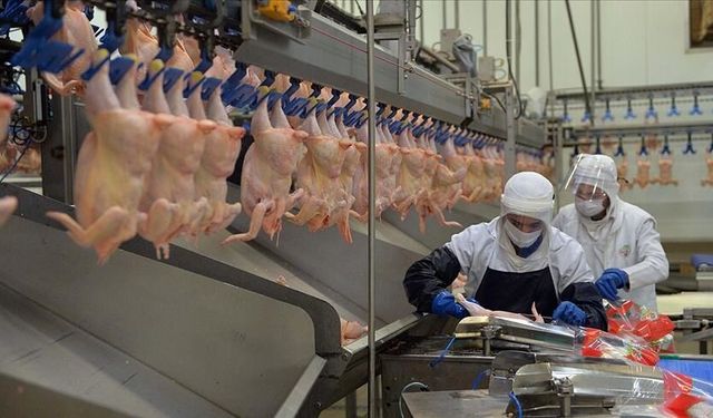 Beyaz et soruşturmasında yeni gelişme!