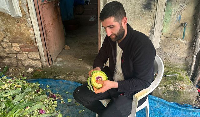 Duyan kulaklarına inanamadı: Enginar soyup servet kazanıyor