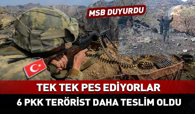 Tek tek teslim oluyorlar!