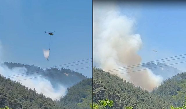 Soma'da orman yangını!