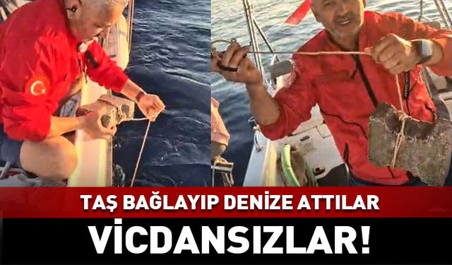 "Ayağına taş bağlayıp denize attılar"