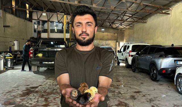 İzlediği belgesel hayatını değiştirdi: Patron oldu