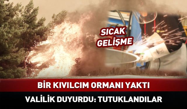 Kaynak yaparken ormanı yakan 2 kişi tutuklandı