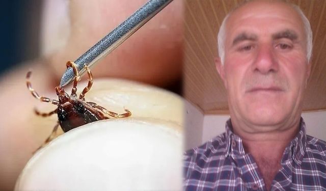 Kendi imkanlarıyla keneyi çıkardı: 4 gün sonra öldü