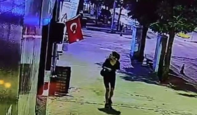 Muğla'da bayrağa saldıran küstah tutuklandı!