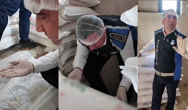 Mide bulandıran görüntüler! Zabıta bile şaştı kaldı