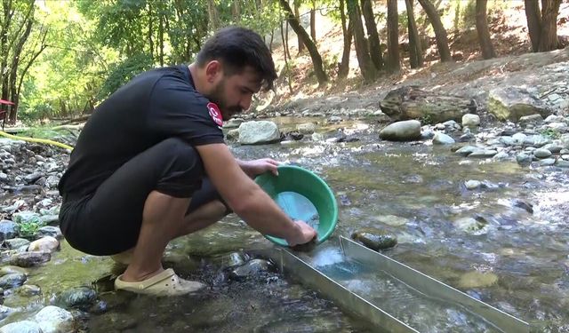 Askerliği bırakıp bu işe başladı! Her gün 5 gram altın çıkartıyor
