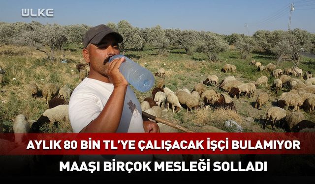 Aylık 80 bin TL'ye çalışacak işçi bulamıyor