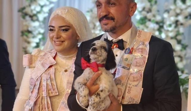 Düğünde altın yerine köpek taktı