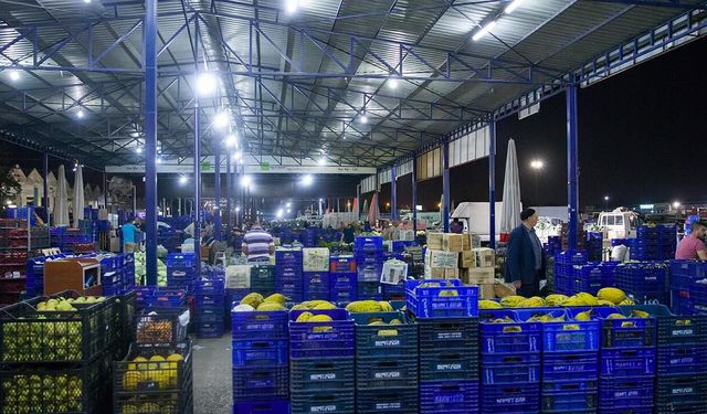 Yeni Hal Yasası için gözler 1 Ekim'de açılacak Meclis'e çevrildi
