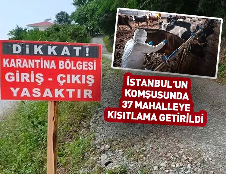 37 mahalleye giriş-çıkış yasaklandı! İstanbul'a komşu...