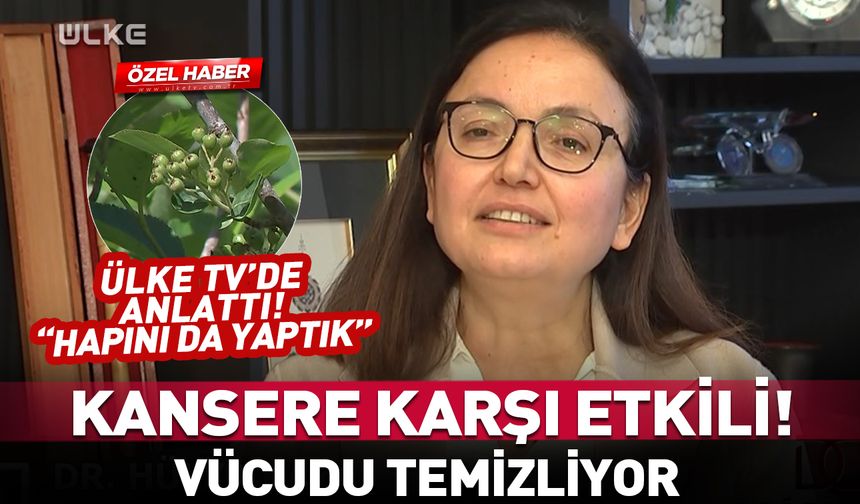 Süper meyve! Kansere karşı etkili ve vücudu temizliyor
