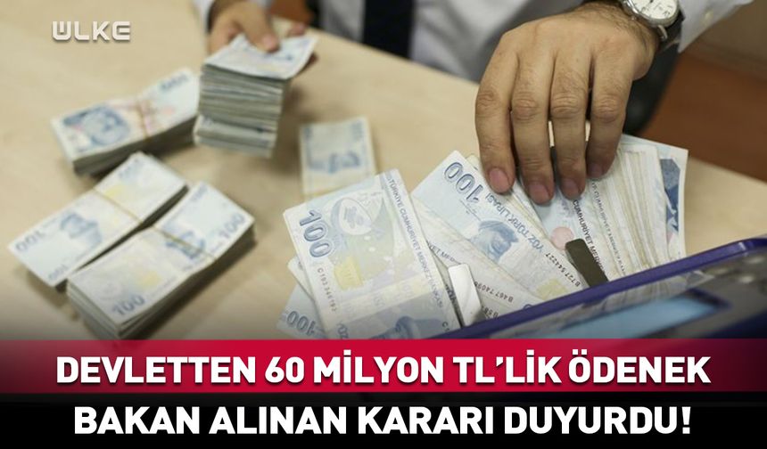 Devletten yangın bölgelerine 60 milyon TL'lik ödenek