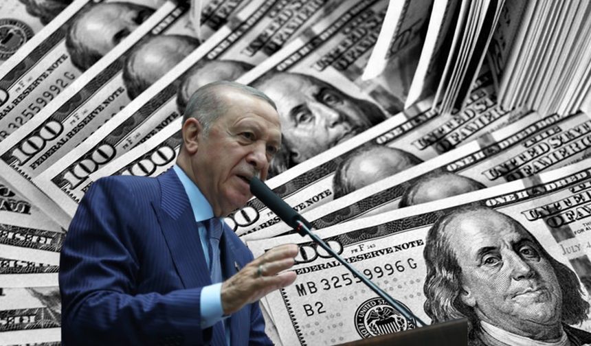 Erdoğan farkı gözler önüne serdi: 80 milyar dolarlık potansiyel var