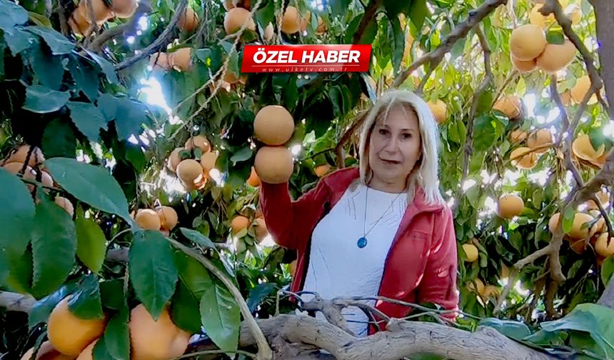 Kalp hastalıklarının şifası! Bu meyvenin faydaları saymakla bitmiyor