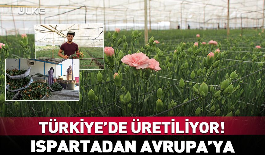 Isparta’da üretiliyor! Avrupa’ya ihraç ediliyor