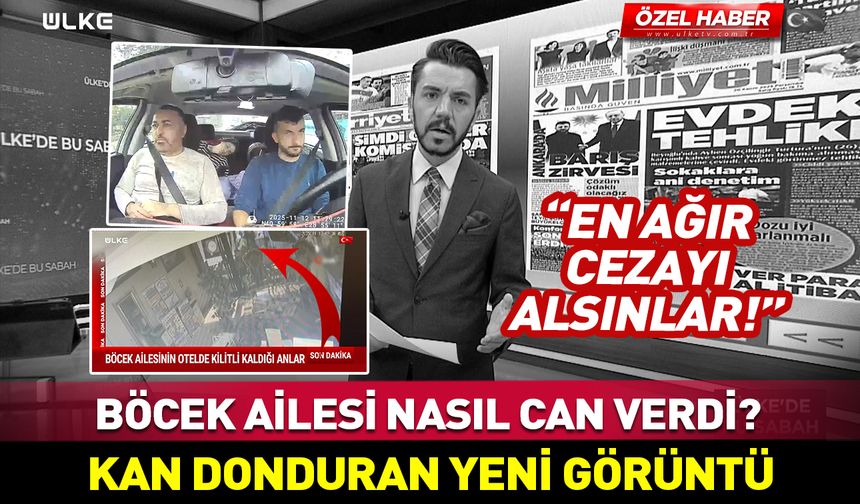 Böcek ailesinin ölümünde kan donduran yeni görüntü