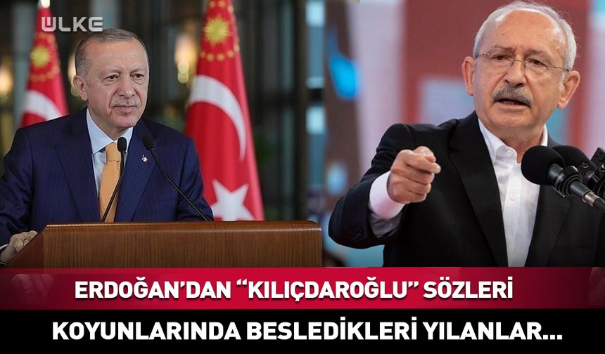 Erdoğan'dan Kılıçdaroğlu çıkışı: Koyunlarında besledikleri yılanlar...