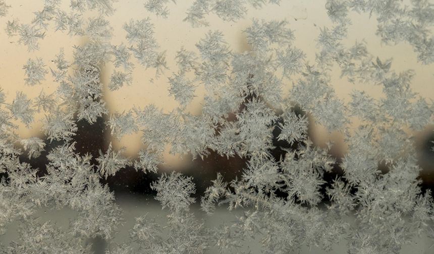 Avrupa’ya kritik uyarı! Son 10 yılın en düşük seviyesinde